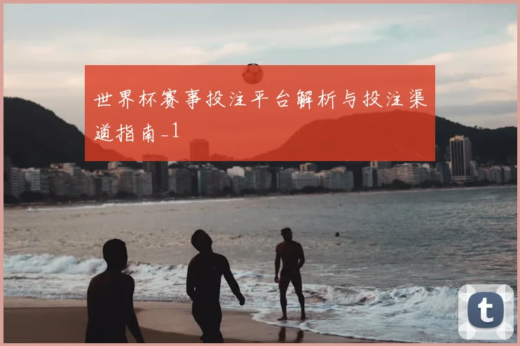 世界杯赛事投注平台解析与投注渠道指南_1