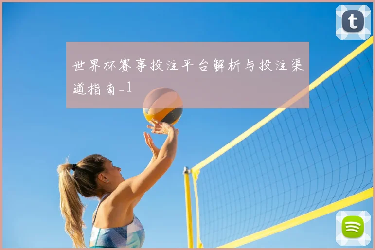 世界杯赛事投注平台解析与投注渠道指南_1